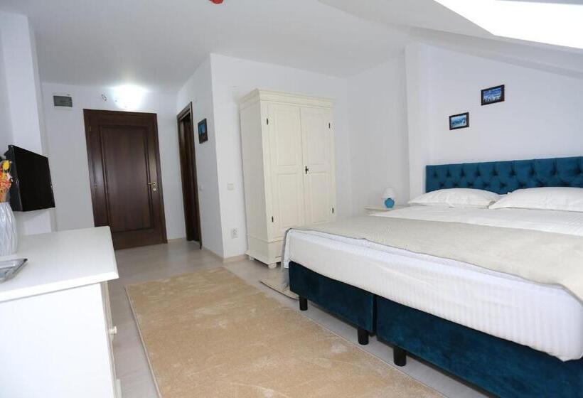 پانسیون Ducatul Bucovinei