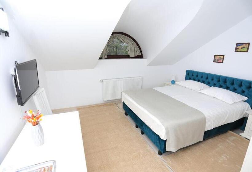 پانسیون Ducatul Bucovinei