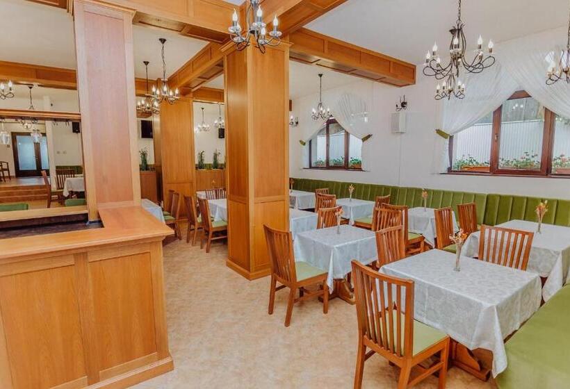 پانسیون Ducatul Bucovinei