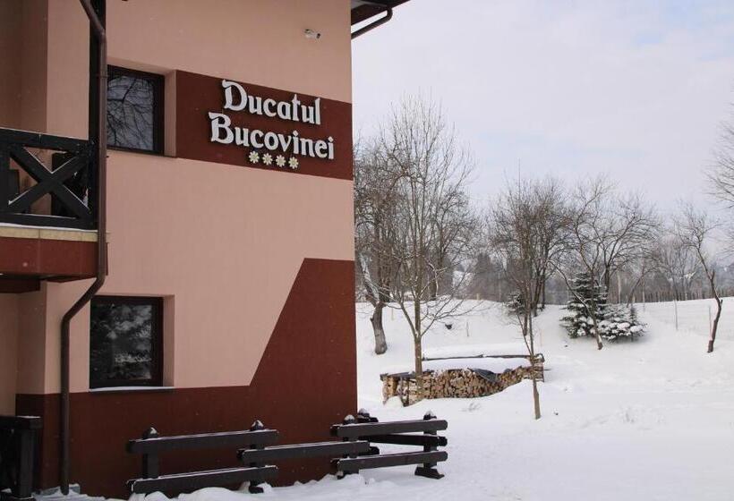 پانسیون Ducatul Bucovinei