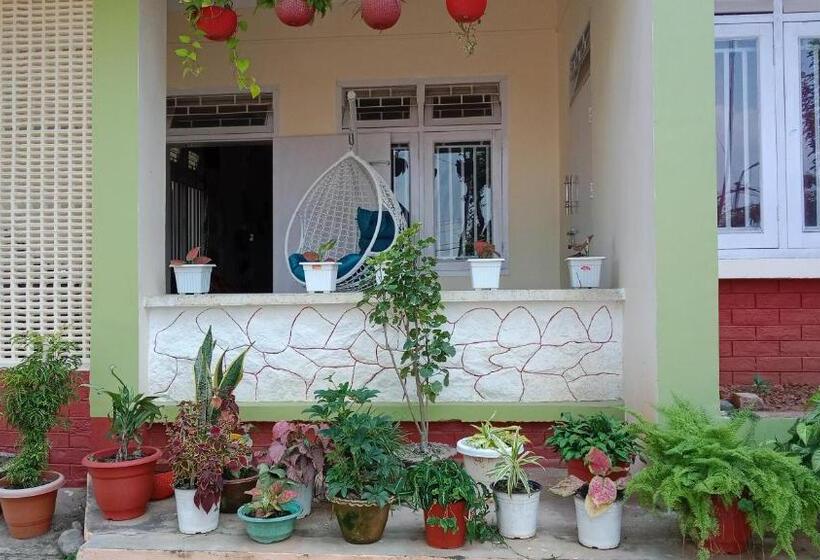 פנסיון New Dream Homestay