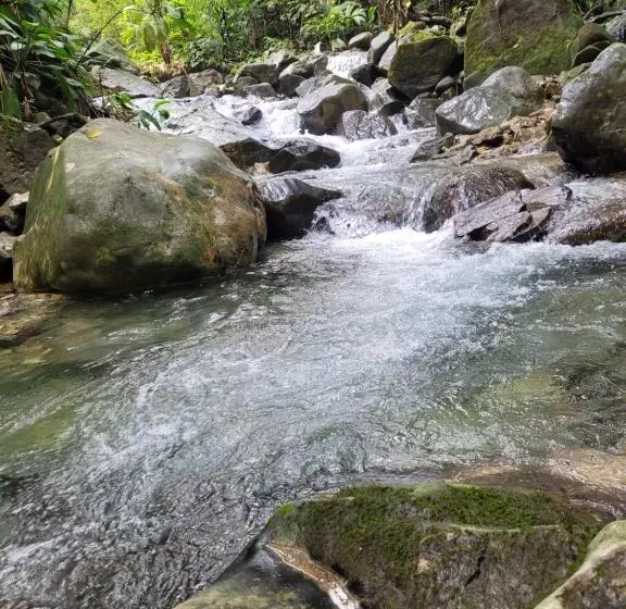 ペンション Hostal Mostaza