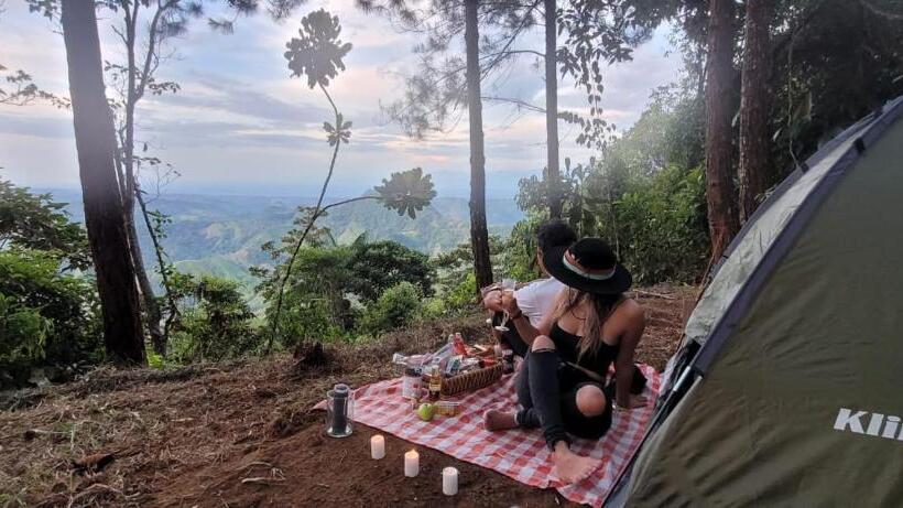 Pension Hostal Mostaza