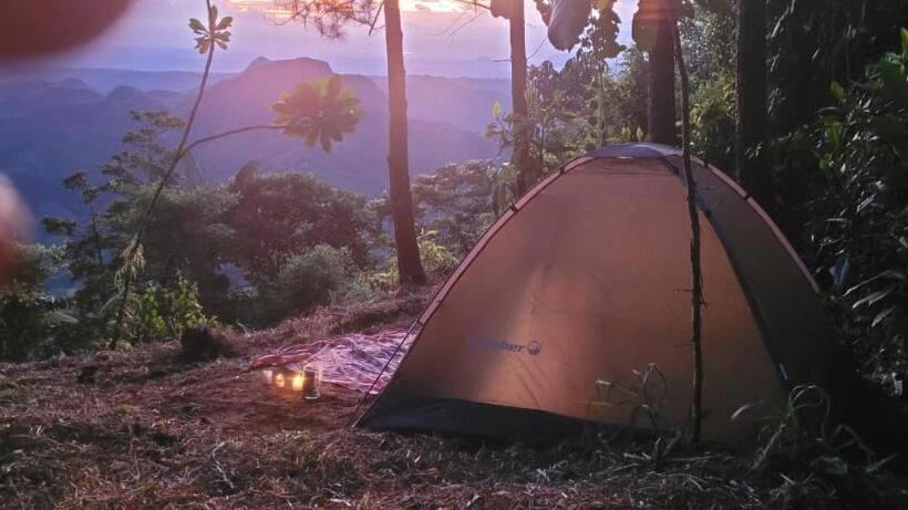 Pension Hostal Mostaza