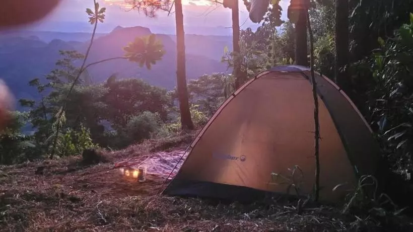 ペンション Hostal Mostaza