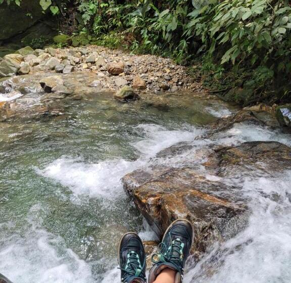 Pension Hostal Mostaza