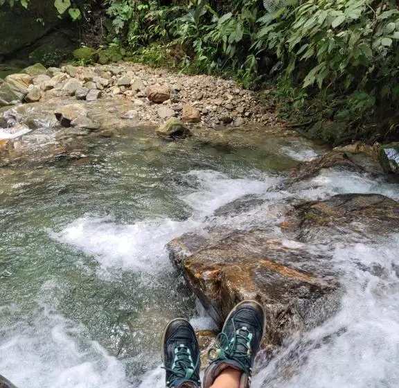 ペンション Hostal Mostaza