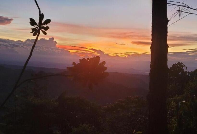 Pension Hostal Mostaza