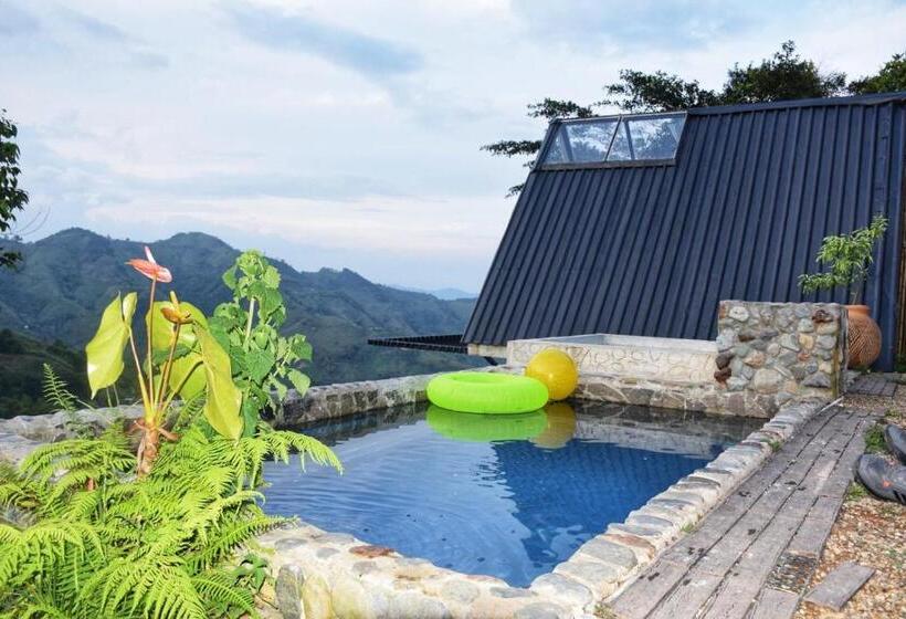 Pension Hostal Mostaza