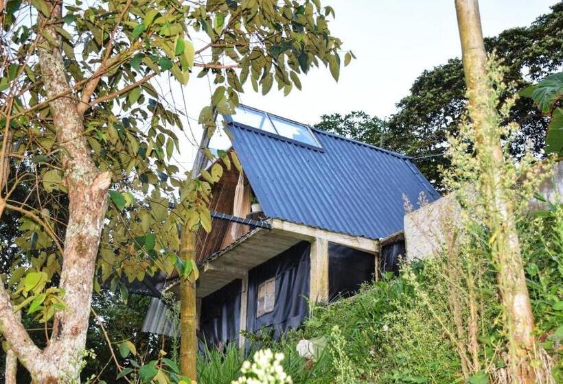 Pension Hostal Mostaza