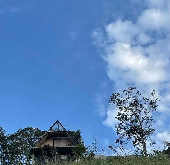 Pension Hostal Mostaza