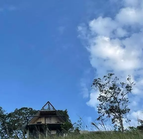 ペンション Hostal Mostaza