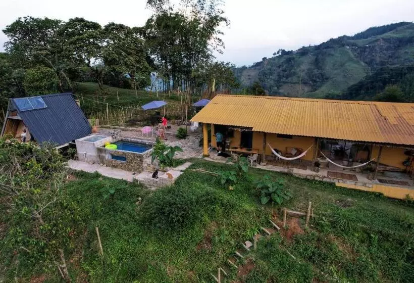 ペンション Hostal Mostaza