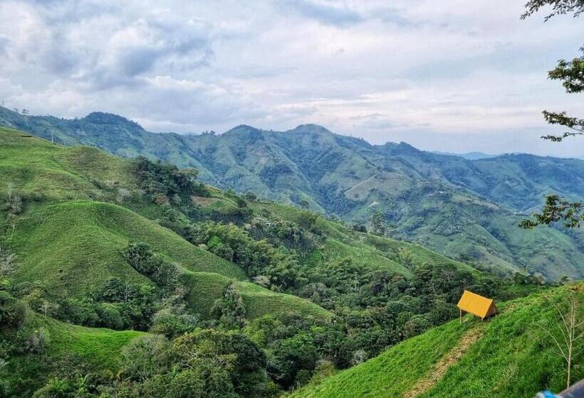 Pension Hostal Mostaza