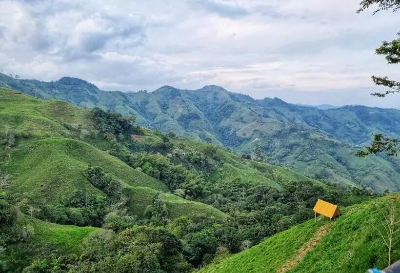 ペンション Hostal Mostaza