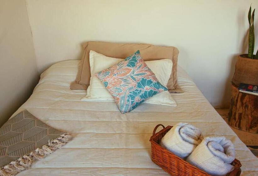 Pension Hostal Mostaza