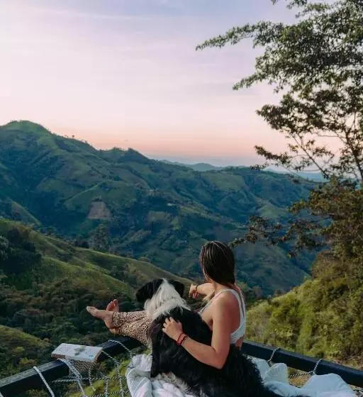 ペンション Hostal Mostaza