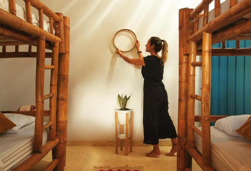 Pension Hostal Mostaza