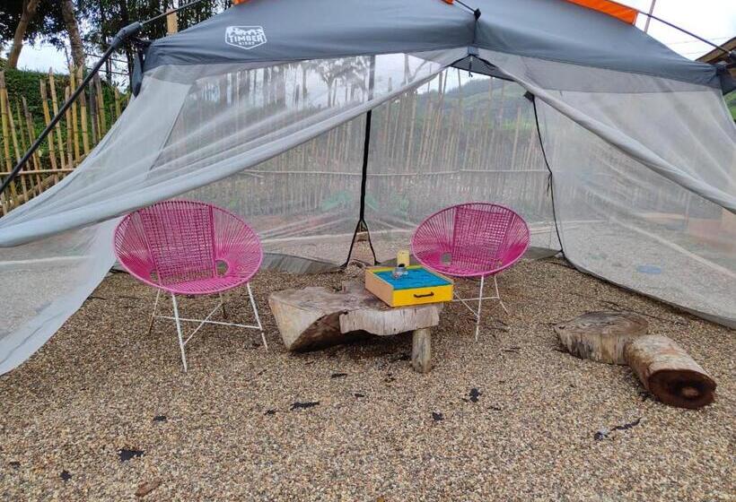 Pension Hostal Mostaza