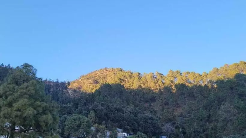 ペンション Parwati Home Stay