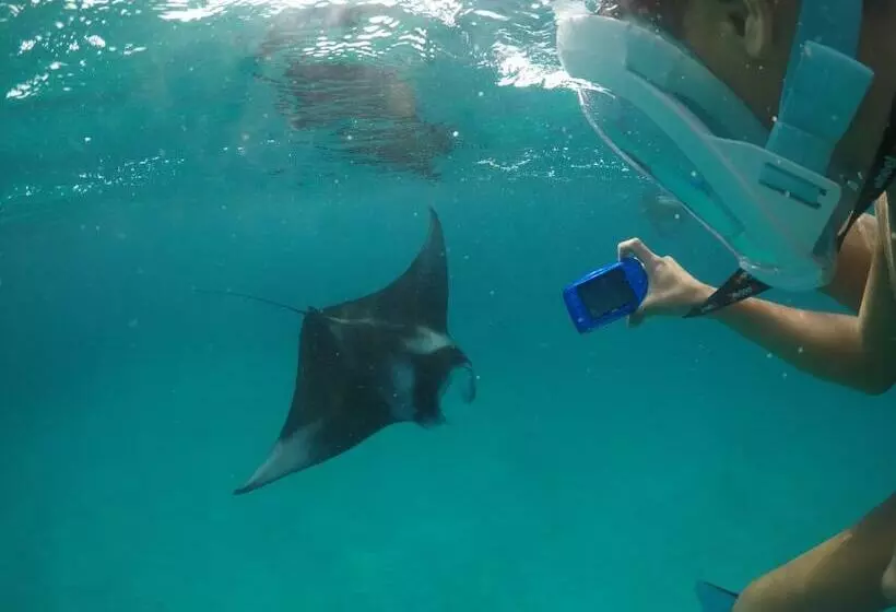 پانسیون Ukulhas View