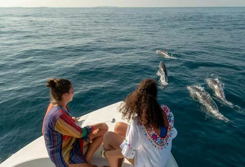 پانسیون Ukulhas View