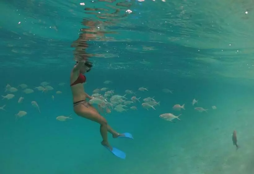 پانسیون Ukulhas View