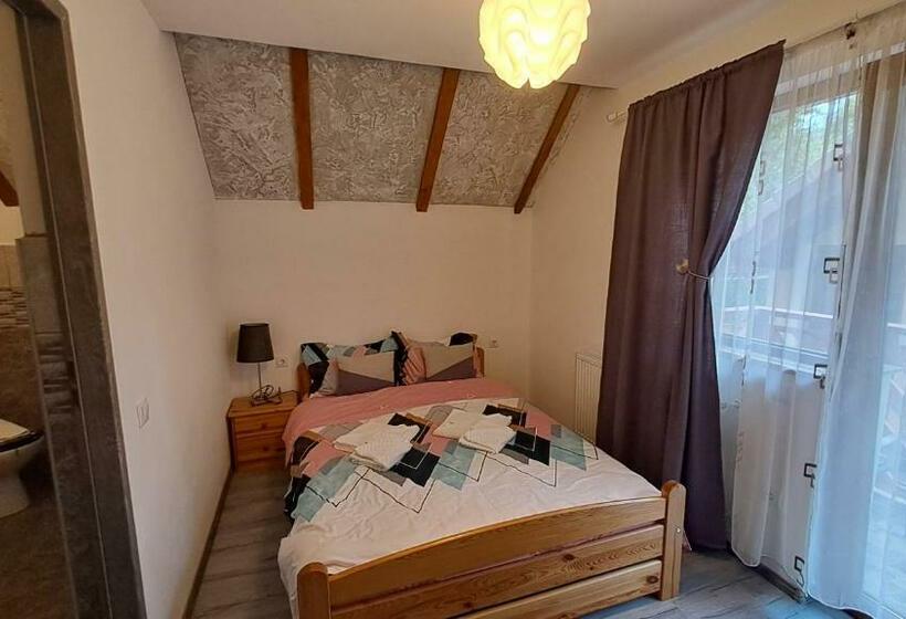 پانسیون Vis împlinit