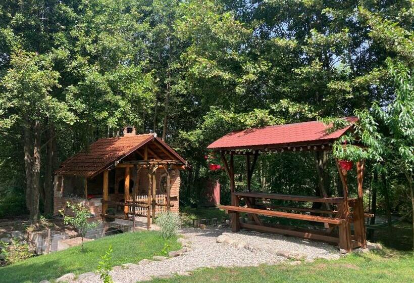 پانسیون Vis împlinit