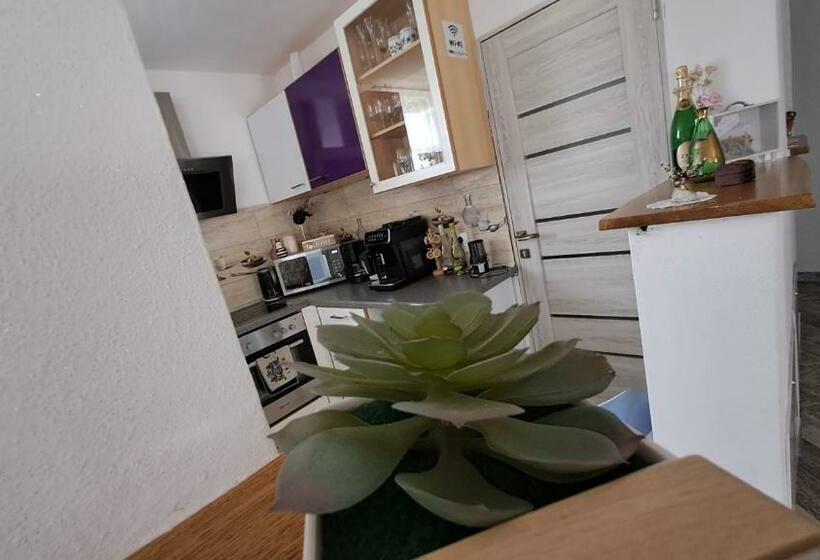 پانسیون Vis împlinit