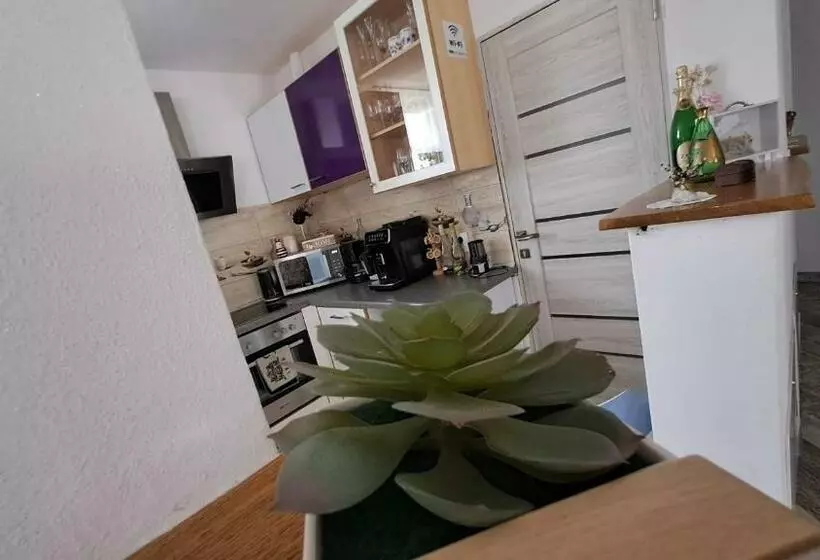 Pensione Vis împlinit