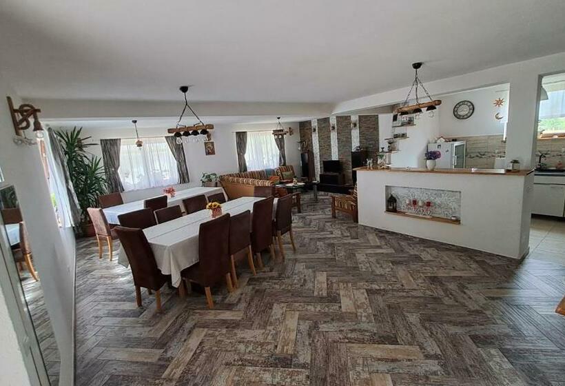 پانسیون Vis împlinit