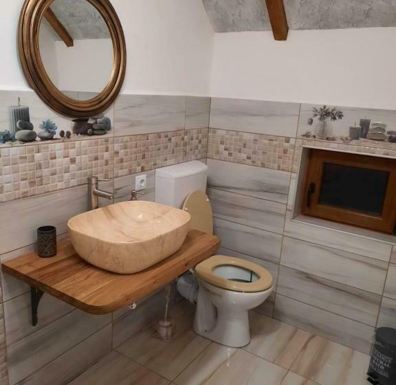 پانسیون Vis împlinit