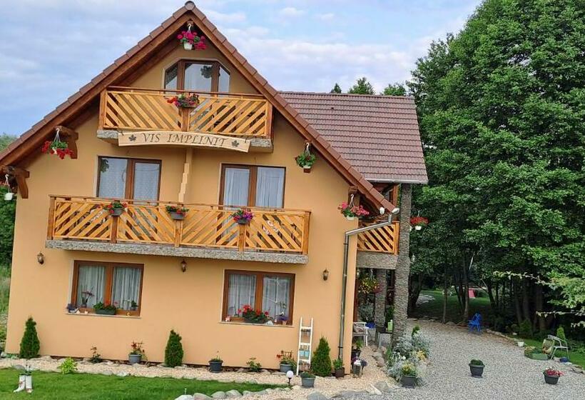 پانسیون Vis împlinit