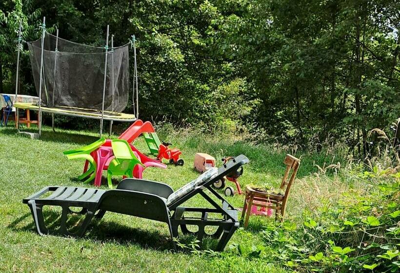 پانسیون Vis împlinit