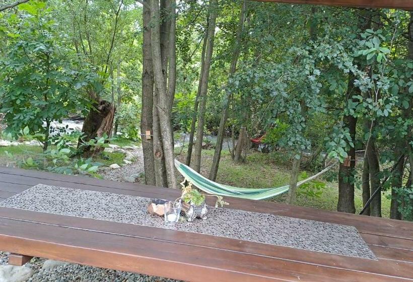 پانسیون Vis împlinit