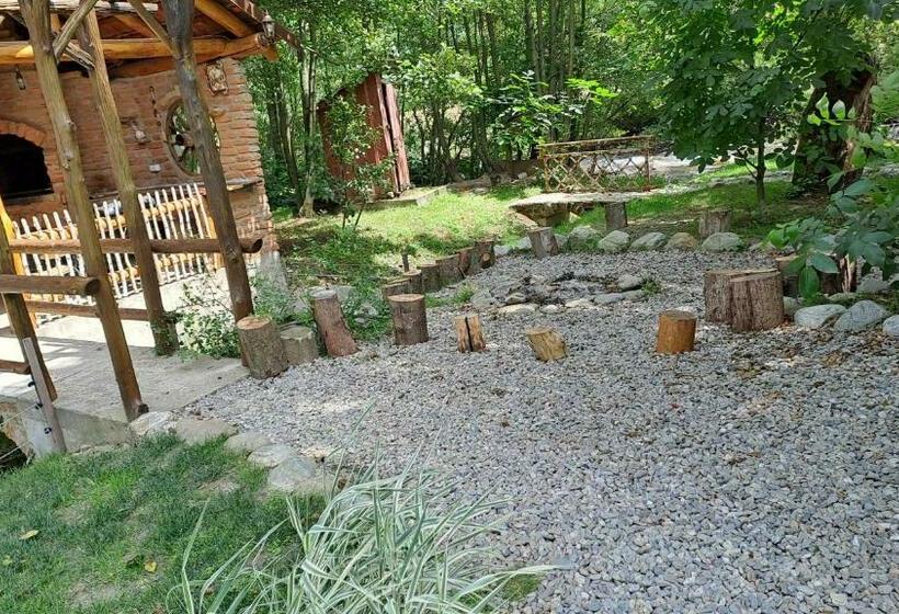 پانسیون Vis împlinit