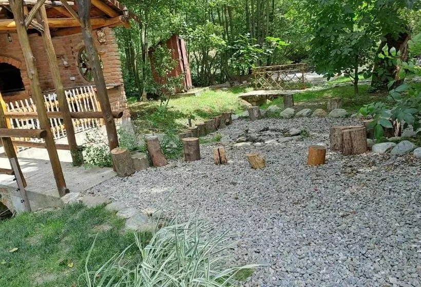 Pensione Vis împlinit