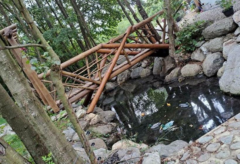 پانسیون Vis împlinit