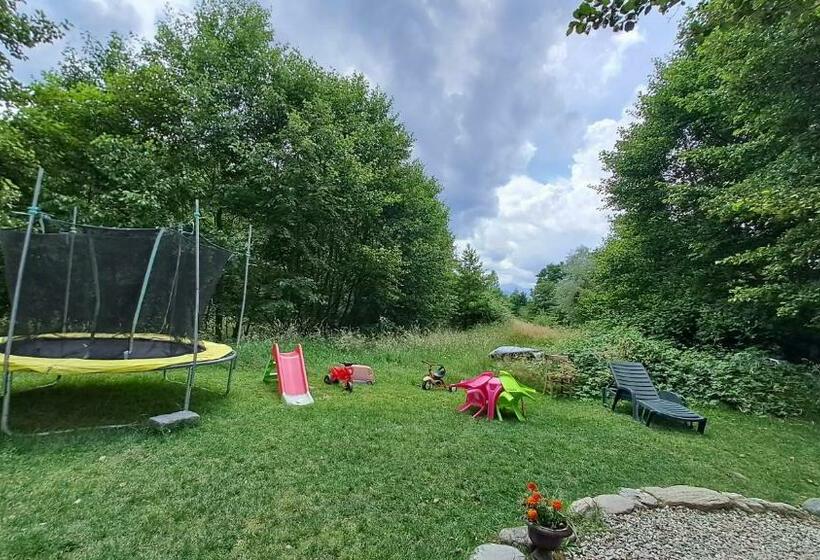 پانسیون Vis împlinit