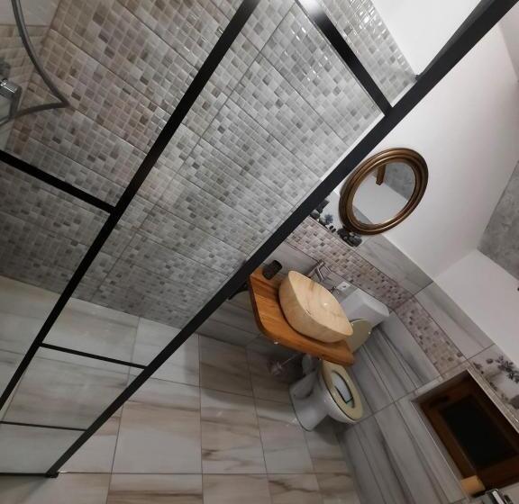 پانسیون Vis împlinit