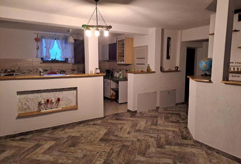 پانسیون Vis împlinit