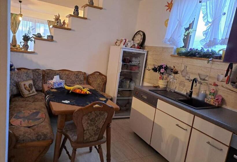 پانسیون Vis împlinit