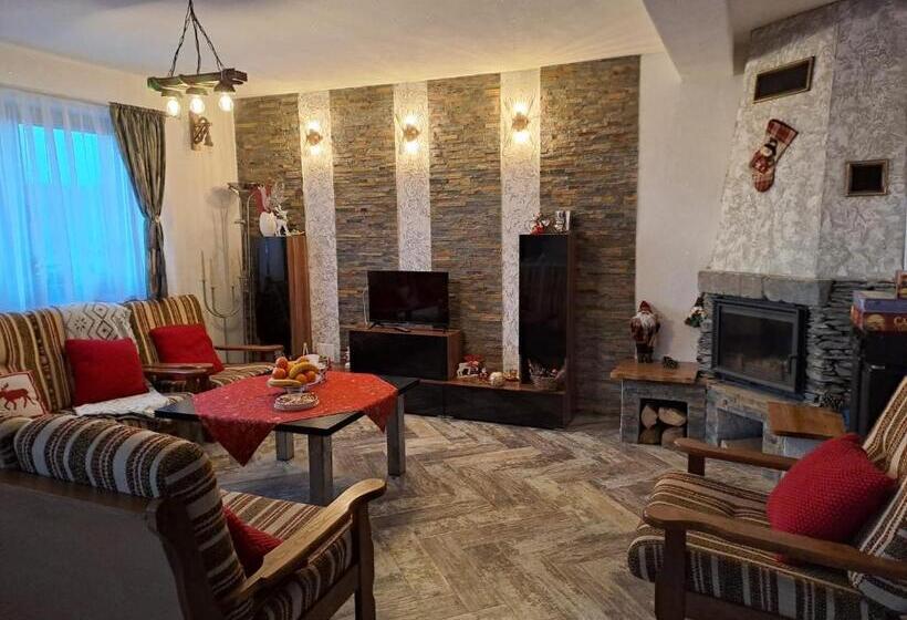 پانسیون Vis împlinit