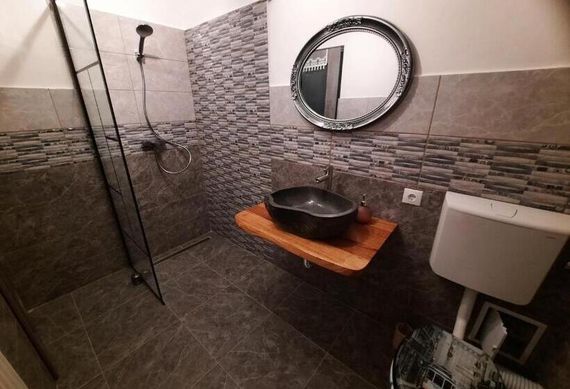 پانسیون Vis împlinit