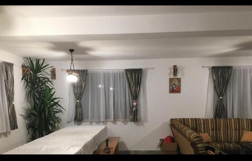 پانسیون Vis împlinit