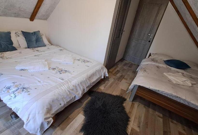 پانسیون Vis împlinit