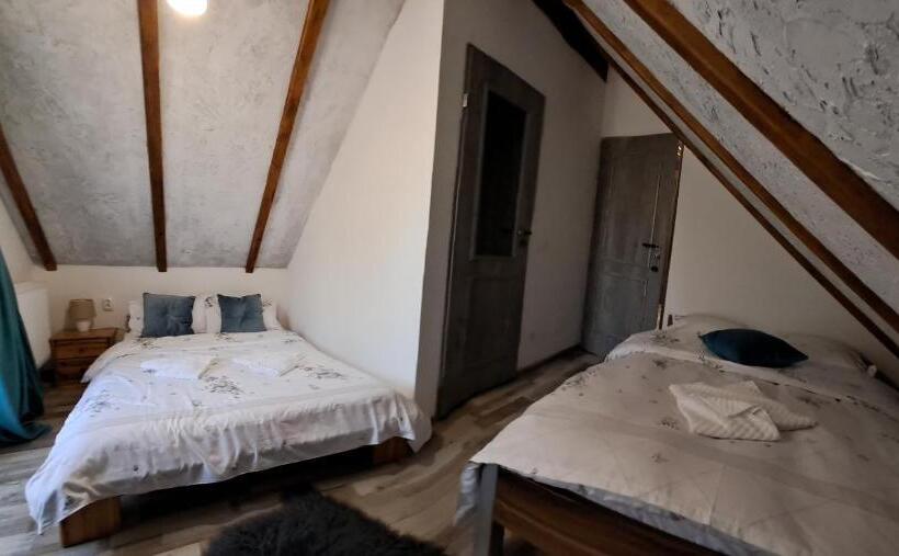 پانسیون Vis împlinit