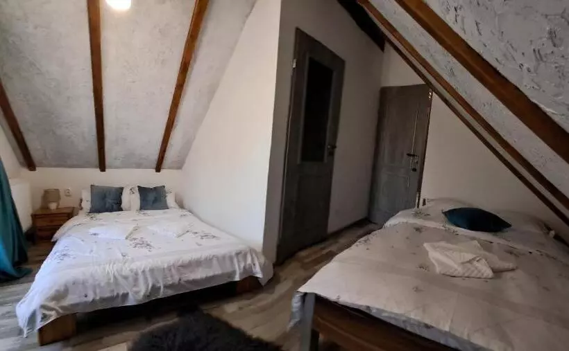 Pensione Vis împlinit