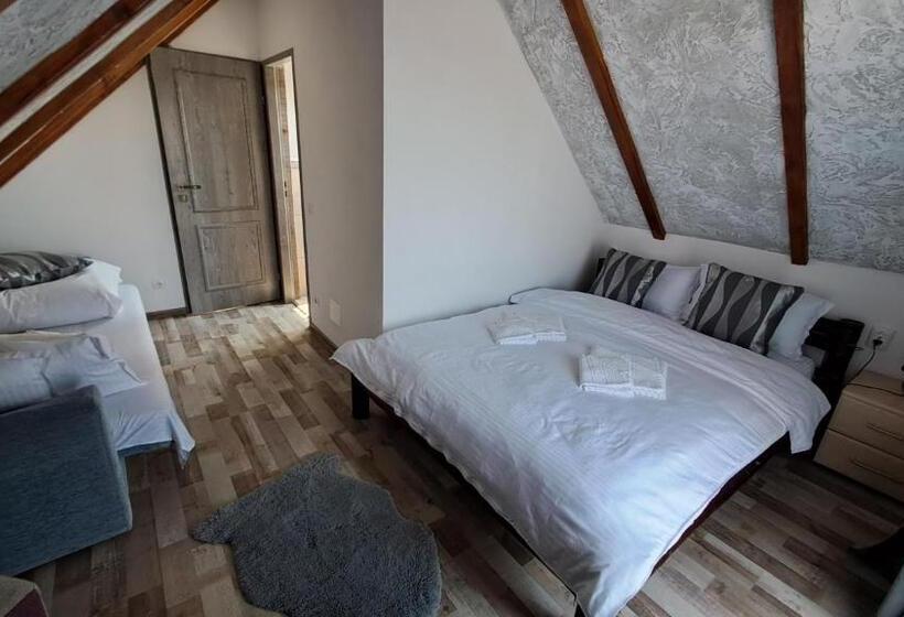 پانسیون Vis împlinit